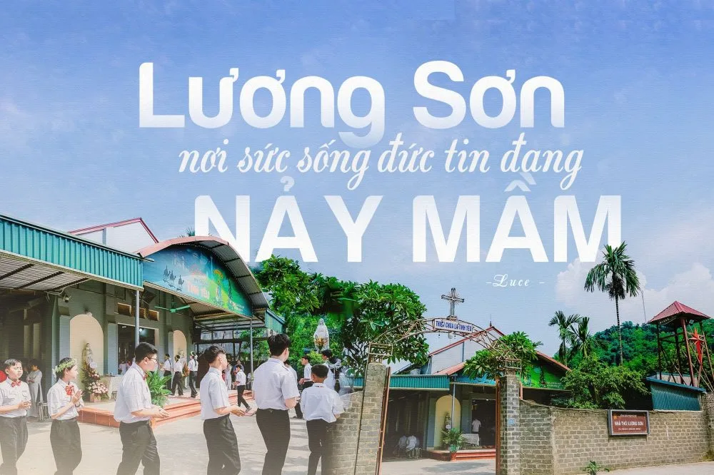 tin-tuc-cong-giao